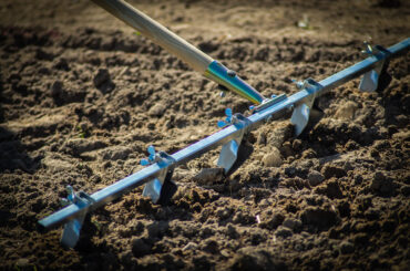 Anpflanzen_190330_-31